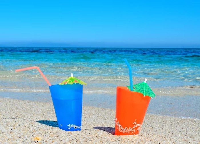 Profitez de votre journée à la plage avec la vaisselle jetable et les emballages alimentaires d'Atlas Trading Group ! ATG